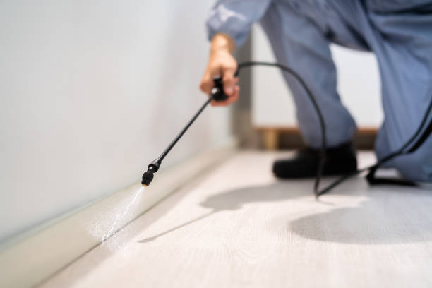 Pest Control Cost in Trainer, PA