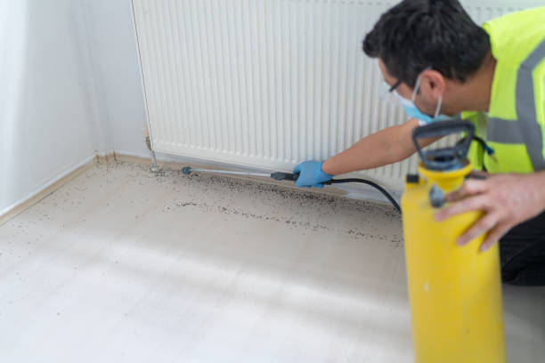 Best Cockroach Control Services  in Trainer, PA